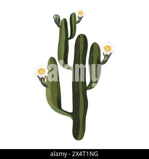 Saguaro. Cactus en fleurs avec des fleurs blanches et jaunes. Plantes pour la maison. Floriculture. Flore du désert. Illustration aquarelle isolée sur blanc Banque D'Images