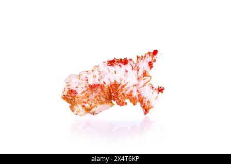 Vanadinite orange / rouge sur baryte blanche, de Mibladen, Maroc. Photographie isolée sur fond noir blanc. arrière-plan des détails de macro. Gros plan grossier RA Banque D'Images