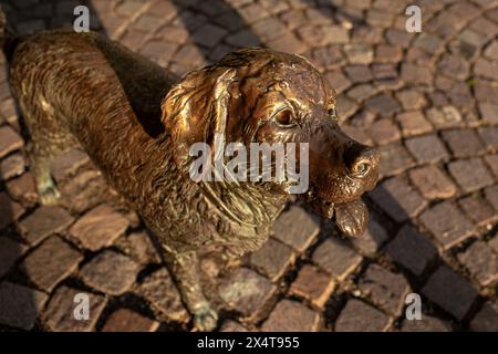 Sculpture en bronze de chien sur la place Kossuth à Szolnok, Hongrie. Photo de haute qualité Banque D'Images