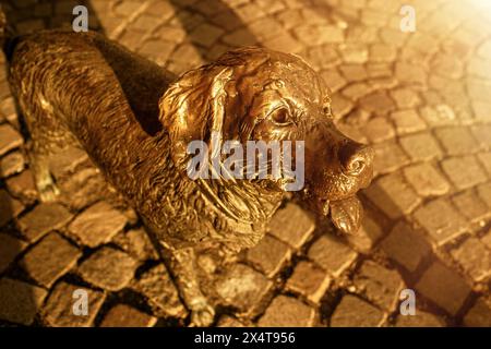 Sculpture en bronze de chien sur la place Kossuth à Szolnok, Hongrie. Photo de haute qualité Banque D'Images