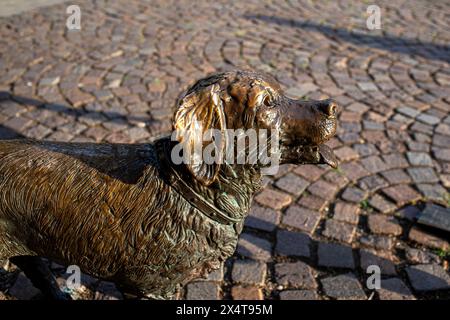 Sculpture en bronze de chien sur la place Kossuth à Szolnok, Hongrie. Photo de haute qualité Banque D'Images