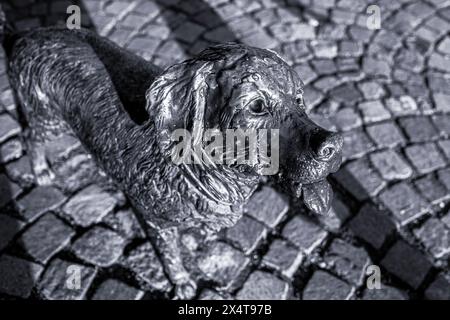 Sculpture en bronze de chien sur la place Kossuth à Szolnok, Hongrie. Photo de haute qualité Banque D'Images