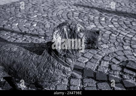 Sculpture en bronze de chien sur la place Kossuth à Szolnok, Hongrie. Photo de haute qualité Banque D'Images