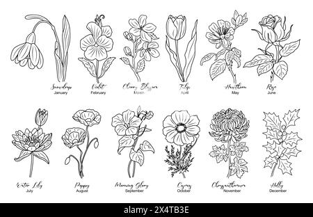 Ensemble de fleurs du mois de naissance alignent des illustrations d'art. Illustration de Vecteur