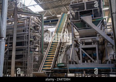 Équipement de transformation des légumes frais après récolte, stockage, tri, lavage, coupe, emballage, agriculture aux pays-Bas Banque D'Images