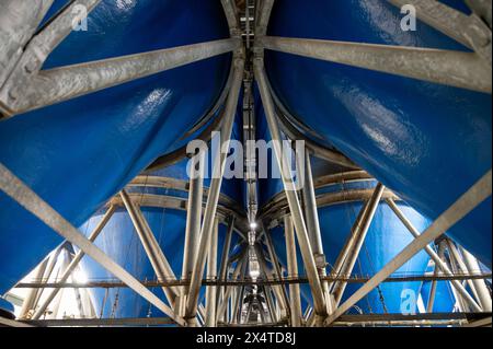 Équipement de transformation des légumes frais après récolte, stockage, tri, lavage, coupe, emballage, agriculture aux pays-Bas Banque D'Images