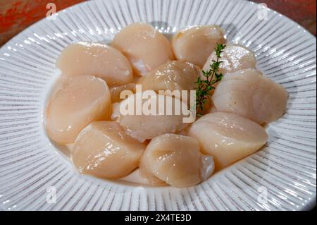 Atlantique Bay nettoyé coquilles Saint-Jacques coquilles préparées James sur assiette, prise du jour en Normandie ou en Bretagne, France Banque D'Images