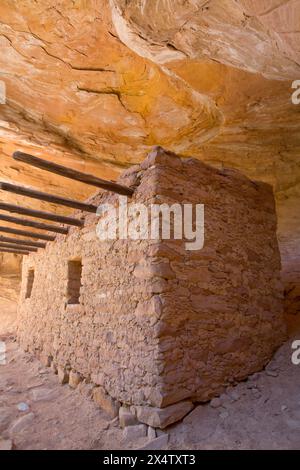 The Doll House, ancestral (Anasazi) Pueblo building, 1150-1250 AD, Bears Ears National Monument, Cedar Mesa, Utah, États-Unis Banque D'Images