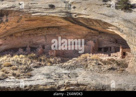 Butler Wash Achaeological Ruin, ancestral Pueblo, Butler Wash, Bears Ears National Monument, Utah, États-Unis Banque D'Images