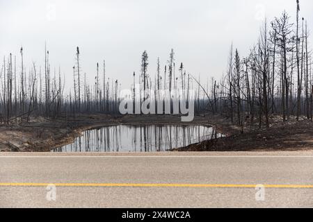 Étang entouré d'arbres brûlés le long de la route 1 lors d'un feu de forêt dans les Territoires du Nord-Ouest, Canada. Plus de 4 millions d'hectares de forêt brûlés. Banque D'Images