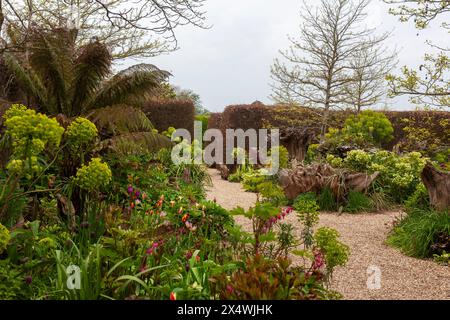 The Stumpery, jardins du château d'Arundel, Arundel, West Sussex, Royaume-Uni Banque D'Images