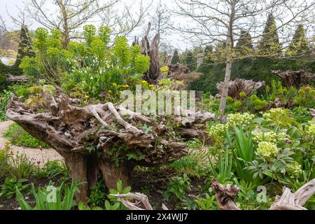 Partie du Stumpery à Arundel Castle Gardens, West Sussex, Angleterre, Royaume-Uni Banque D'Images