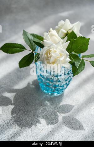 Gros plan de roses blanches dans un vase en verre Banque D'Images