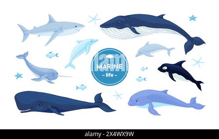 Baleines bleues. Poissons sous-marins dauphins, requins et narvals, chasse marine nordique ou océanique dans la faune. Collection puéricole de décoration de pépinière. Différents mammifères. Illustration isolée de dessin animé vectoriel Illustration de Vecteur