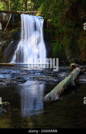 North Fork Silver Creek coule sur Upper North Falls dans un rideau de cascade d'eau douce dans le parc d'État de Silver Falls Banque D'Images