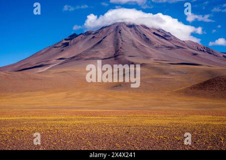 Paysage typique de l'altiplano chilien près de San Pedro de Atacama, Chili. Banque D'Images