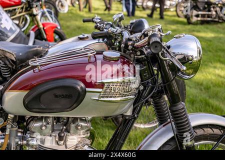 Moto classique Triumph Bonneville Banque D'Images