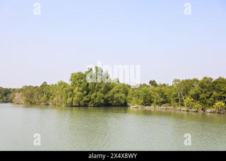 Le parc national des Sundarbans est une grande forêt côtière de mangroves, partagée par l'Inde et le Bangladesh. Banque D'Images