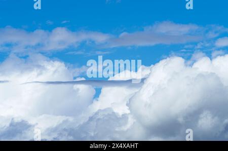 Le ciel bleu électrique est orné de nuages de cumulus blancs moelleux, créant un paysage pittoresque avec des avions volant dans l'atmosphère Banque D'Images