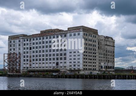 Londres, Angleterre Spillers, Millennium Mills, Royal Victoria Dock dans les Docklands, East London Banque D'Images