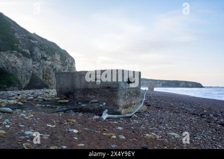 Bâtiment militaire abandonné de la seconde Guerre mondiale et bois flotté à Blast Beach, Seaham, comté de Durham, Royaume-Uni Banque D'Images