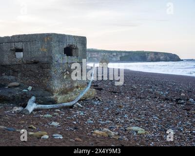 Abandonnés Pillbox et Driftwood à Blast Beach, Seaham, comté de Durham, Royaume-Uni Banque D'Images