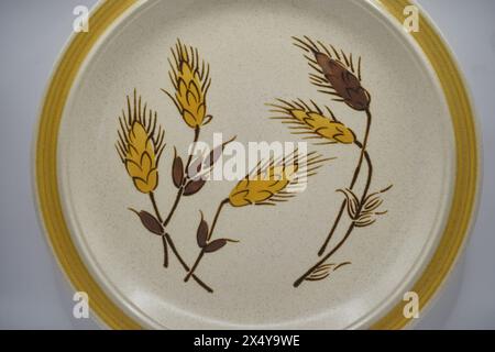 assiette à dîner rétro avec motif blé jaune et brun Banque D'Images