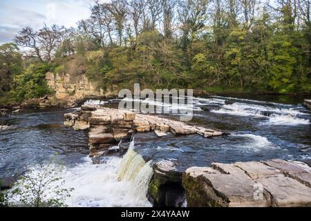 The River Swale à Richmond Falls, Richmond, North Yorkshire Banque D'Images