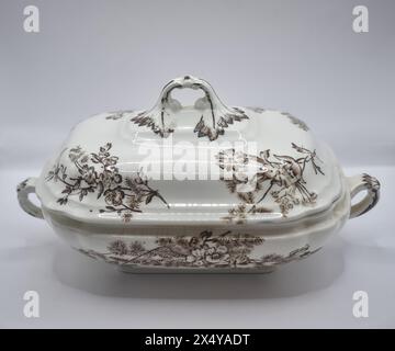 plat de service en porcelaine antique avec couvercle Banque D'Images