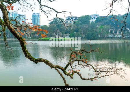 Branche de feuilles avec Tour de tortue sur la fondation du lac Ho Guom, le centre de Hanoi, de beaux paysages au printemps Banque D'Images