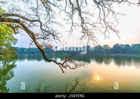 Branche de feuilles avec Tour de tortue sur la fondation du lac Ho Guom, le centre de Hanoi, de beaux paysages au printemps Banque D'Images