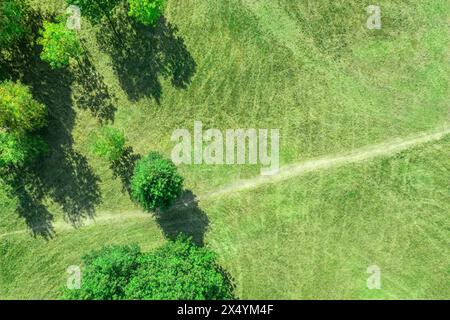 paysage d'été avec de l'herbe verte, des arbres et un sentier à la journée ensoleillée. vue aérienne de dessus. Banque D'Images