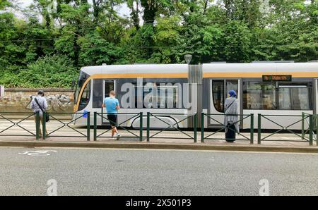 Bruxelles, Belgique, le 7 novembre 2019, cet instantané capture le rythme quotidien de la vie à Bruxelles, avec des navetteurs à un arrêt de tramway dans un cadre urbain verdoyant. Un tramway qui approche reflète le système de transport public efficace de la ville, prêt à transporter les passagers vers leur prochaine destination. Trajet quotidien à un arrêt de tramway de Bruxelles avec Tram approchant. Photo de haute qualité Banque D'Images