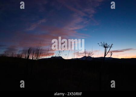 Lever de soleil en Islande avec la végétation contre la lumière. automne. Banque D'Images