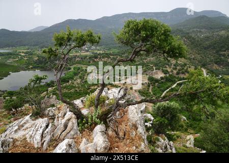 Site archéologique de Kaunos. Vue d'en haut sur les ruines de l'église de la basilique byzantine, le théâtre et d'autres vestiges de la ville antique. Mugla, Turquie Banque D'Images