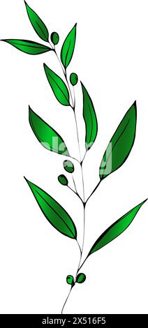 Branche d'olivier gravée. Esquisser des branches avec des feuilles et des fleurs, élément de conception d'olives dessinées à la main. Plante agricole mûre ou fruit isolé sur blanc Illustration de Vecteur