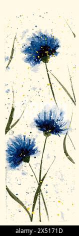 Bleuets bleus par éléments d'aquarelle. aquarelle knapweed, dessin. Illustration de Vecteur