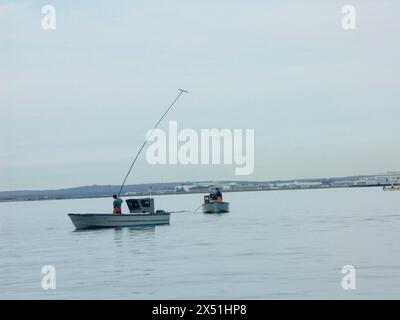 Quahoger (pêcheur de coquillages) au travail dans la baie de Narragansett au large du Rhode Island Banque D'Images