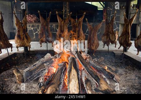 Plusieurs agneaux entiers cuisent sur un barbecue à broche ouverte. Banque D'Images