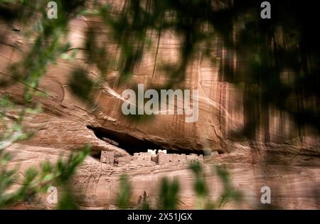 Maisons blanches dans les grottes du Canyon de Chelly Banque D'Images