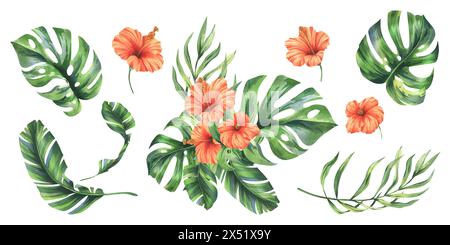 Feuilles de palmier tropical, monstera et fleurs d'hibiscus rouge, vif juteux. Illustration botanique à l'aquarelle dessinée à la main. Ensemble d'éléments isolés de Banque D'Images