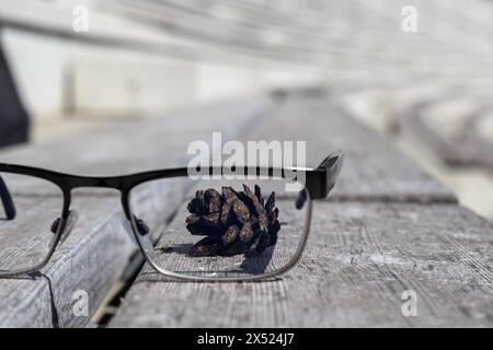 lunettes de soleil noires sur un banc en bois avec une pomme de pin Banque D'Images