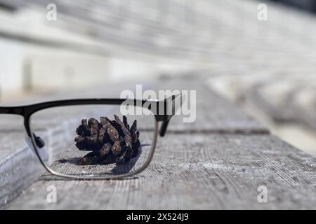 lunettes sur un banc en bois et pommes de pin derrière les lunettes en arrière-plan Banque D'Images