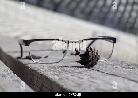 lunettes sur un banc en bois et pommes de pin derrière les lunettes en arrière-plan Banque D'Images