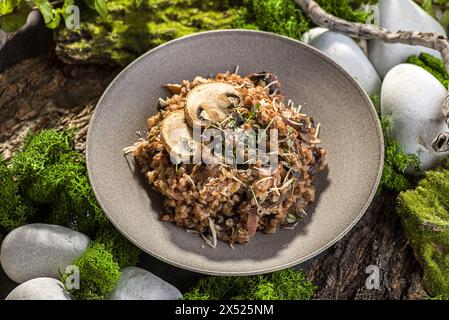 sarrasin aux champignons et au parmesan. Photo de haute qualité Banque D'Images