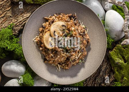 sarrasin aux champignons et au parmesan. Photo de haute qualité Banque D'Images