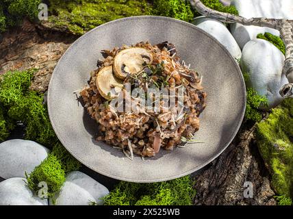 sarrasin aux champignons et au parmesan. Photo de haute qualité Banque D'Images