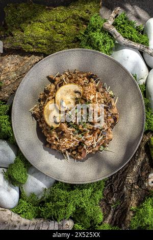 sarrasin aux champignons et au parmesan. Photo de haute qualité Banque D'Images