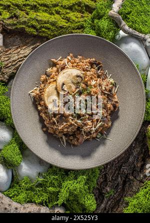 sarrasin aux champignons et au parmesan. Photo de haute qualité Banque D'Images