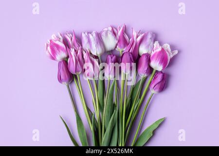 Composition printanière sur fond lilas de fleurs lilas et tulipes blanches. Bonne carte de voeux pour la fête des mères, bonne Saint Valentin, 8 mars, bonne birt Banque D'Images